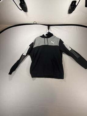 Puma Men's Colorblock Pullover Hoodie with Logo Sleeves